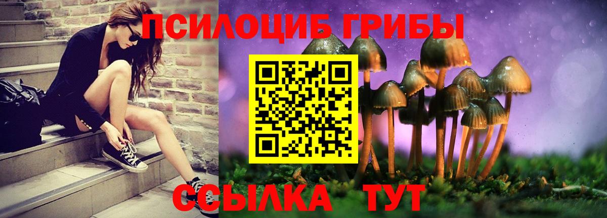 Галлюциногенные грибы Cubensis Кулебаки