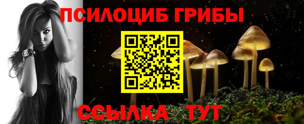наркота  Вход с VPN  Галлюциногенные грибы прущие грибы  Кулебаки  Псилоцибиновые грибы Psilocybine cubensis 